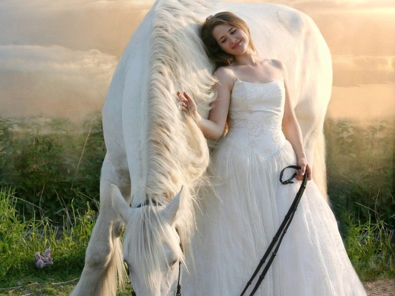 woman, horse, beauty-3481756.jpg